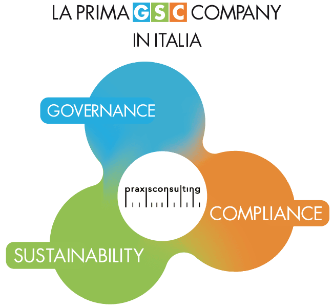 Praxis Consulting - GSC Company